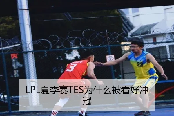 LPL夏季赛TES为什么被看好冲冠